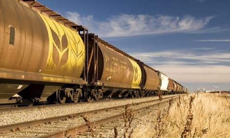 Завдяки розблокуванню портів «Укрзалізниця» перевезла на 42% більше зерна в серпні, ніж у липні