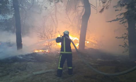 На Луганщині розширилися пожежі: полум’ям охопило понад 13 га