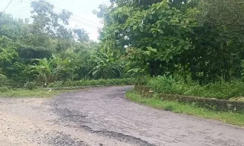 У справі зникнення українця Комарова на Балі виявили збіг ДНК: завдяки цьому підтвердили місце його утримання