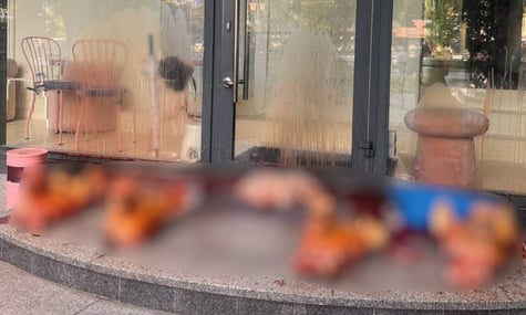 Голови свиней на порозі та погрози працівникам. Заклад, у якому працювала дівчина, що топтала прапори ЛГБТІК+, заявив про залякування