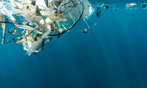 Американські вчені заявили про розробку пластика, який розкладається «за командою»