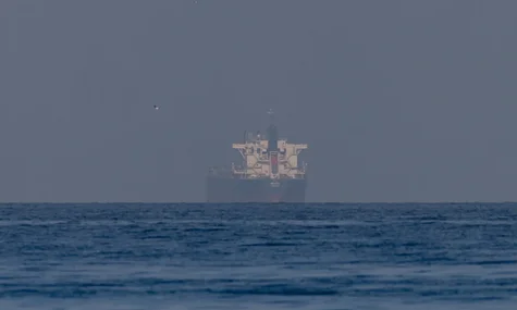 «Поки що лише запит». Українського виробника дронів попросили розблокувати шлях Ормузькою протокою