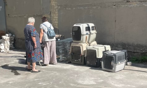 На Вінниччині евакуйованим з-під Покровська бабусям місцеві заборонили заселятися до будинку, бо ті були з собаками