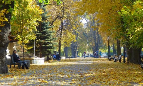 Жовтень 2018 став одним з найтепліший за 137 років — геофічна обсерваторія