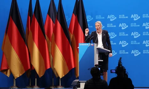 Spiegel: Ультраправа АдН намагається дізнатися про військові можливості країни. Це може бути потрібно рф