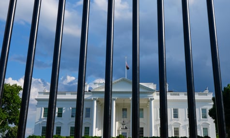 Вокруг Белого дома возводят ограждения, бизнесы в Вашингтоне усиливают охрану перед выборами в США — WSJ