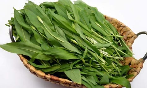 У Львові лікар помер після вживання отруйної рослини, схожої на черемшу