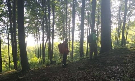 На Закарпатті четверо дітей пішли до лісу збирати чорницю та зникли. Їх шукали майже 250 людей — поліція