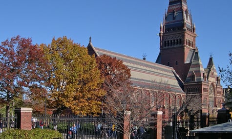 Професор Гарварду покинув США після того, як його затримали зі зброєю біля синагоги під час «полювання на щурів»