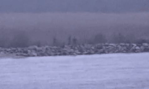 Троє російських прикордонників проникли на територію Естонії та перебували там 20 хв — Bloomberg