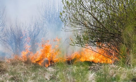 Пожежі у Великій Британії Пожежі у Великій Британії