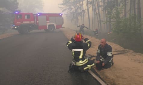 Пожежу лісу та сухостою на Луганщині локалізували — ДСНС
