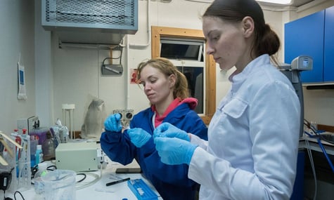 Президент затвердив нові суми грантів для молодих науковців