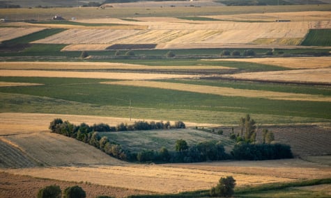 Земля і гроші. Наскільки зростає вартість гектара та якою вона буде найближчими роками