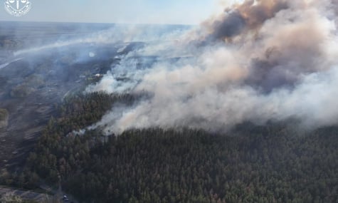 Необережно кинув недопалок. Рибалку з Балаклії судитимуть за масштабну пожежу на заповідній території — ОГП
