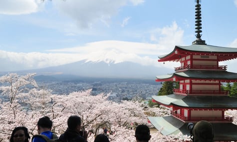 Вид на цвітіння сакур та гору Фудзі в парку Аракураяма Сенген, префектура Яманасі на сході Японії, 6 квітня 2018 року