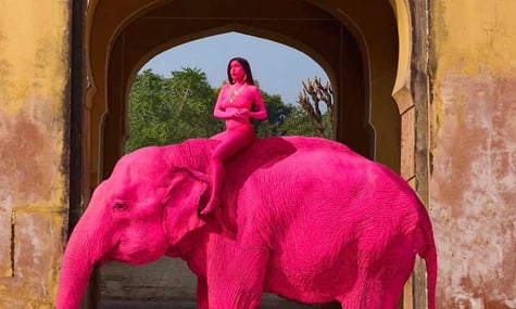 Фотосесія росіянки Юлії Бурулевої з пофарбованою слонихою