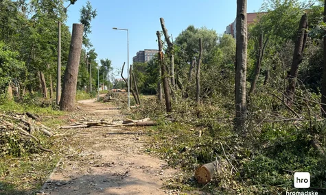 Зрубані дерева на Теремках не вдасться повністю відновити: біля тепломережі можна висадити лише кущі — КМДА