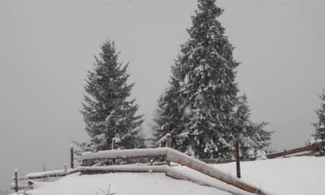 В Ивано-Франковской области выпал снег