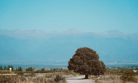 Грузинский экспорт в Европу — что удалось сделать после подписания соглашения об Ассоциации