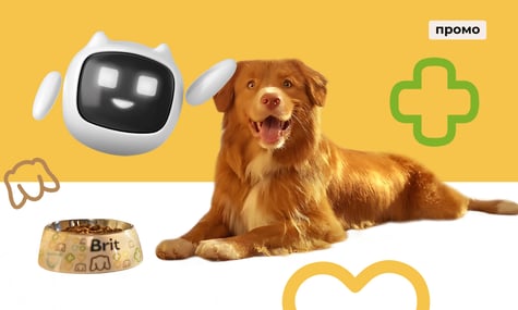 Стрес у собак і котів під час тривог: чатбот від Brit порадить, як підтримати улюбленця