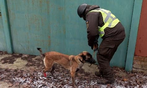 В Луганской области обнаружили тайник с боеприпасами. Служебный пес вовремя заметил скрытую «растяжку» и спас силовиков