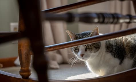 Ukraine Extends Quarantine to May 22
