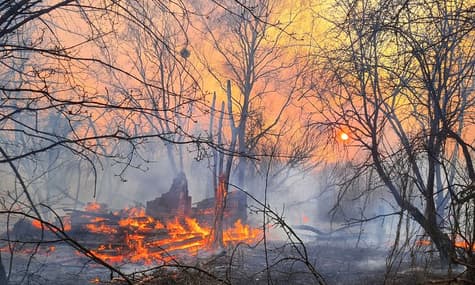 The Burning of Chernobyl’s Radioactive Forests (PHOTO REPORT)
