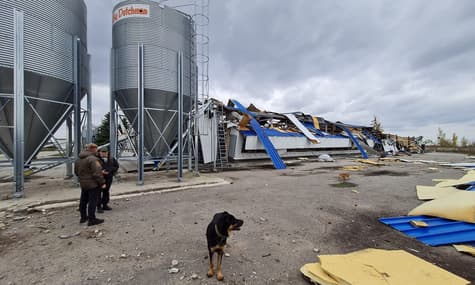 Погибли 800 тысяч птиц: в Донецкой ОВА рассказали, как рф уничтожала одно из крупнейших предприятий по производству яиц