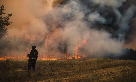 На Донеччині майже тиждень боролись із лісовою пожежею: вогонь пройшов близько 1400 гектарів