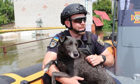 Zelenskyy visits southern Ukraine, protest at UN office, deaths due to flooding: highlights of the day