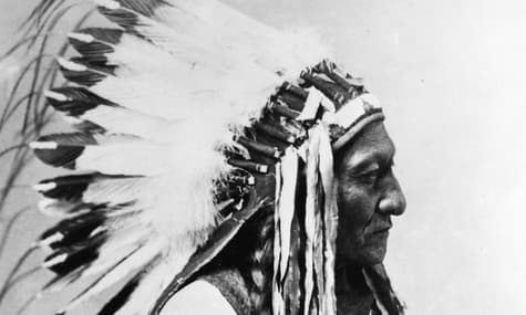 В США нашли потомка знаменитого индейского вождя Сидящего Быка ㅡ помогла ДНК из его волос