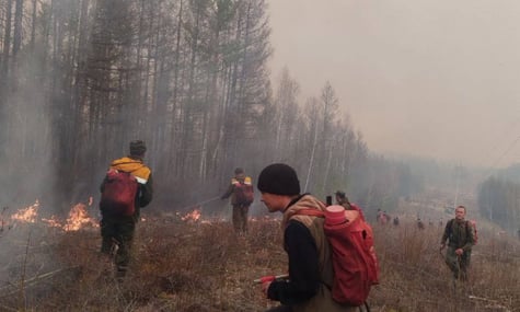 Кілька регіонів рф охопили масовані пожежі: у Бурятії оголосили надзвичайну ситуацію