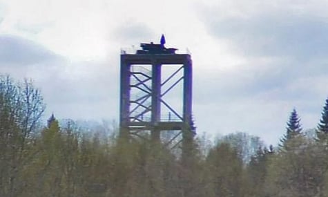 Одна з позиції ППО біля резиденції путіна