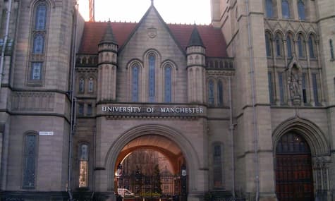 Британский университет советует не использовать слова «мама» и «папа». Решение назвали «языковой цензурой»