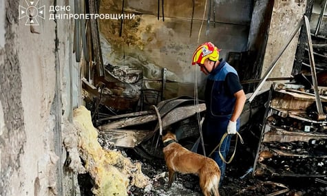 Собаки ДСНС шукають безвісти зниклих після російського удару по ТЦ «Сонячна галерея», Кривий Ріг, 24 серпня 2026 року