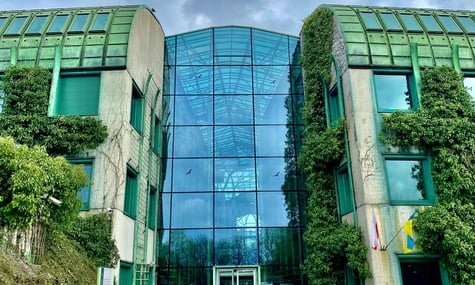 Стародруки Гоголя, які крали з Варшавського університету протягом кількох років, потрапляли до росії