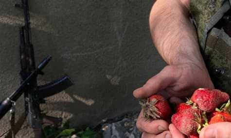 В Херсонской области оккупанты устраиваются к местным собирать клубнику. Свои услуги оценивают в 50 грн в час