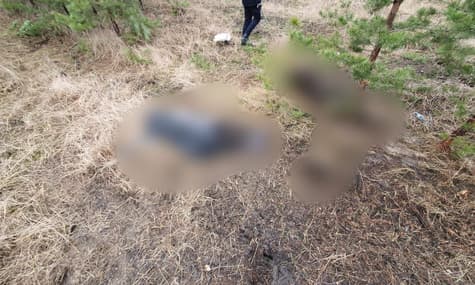 В Харьковской области муж и жена подорвались на растяжке: оба погибли