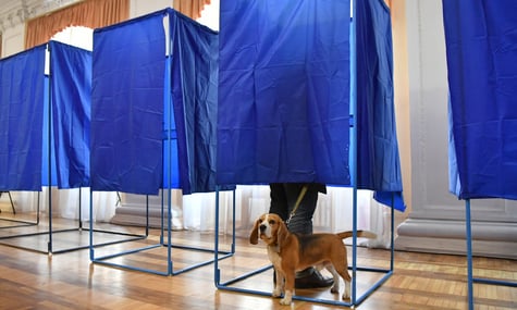 Проведення виборів до припинення вогню підтримують 10% українців — КМІС