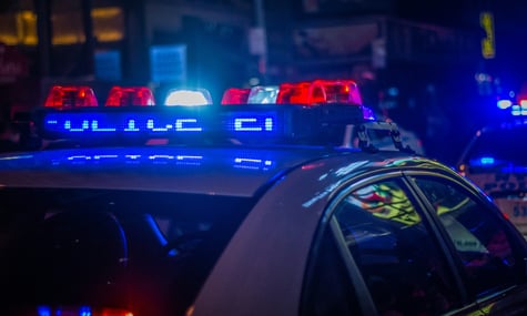Довелося викликати поліцію. У Бундестазі побилися двоє п’яних співробітників ультраправої «АдН» — Spiegel