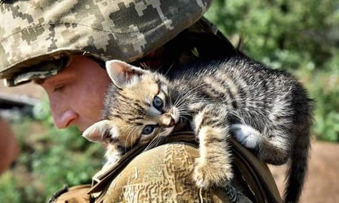 Шпигунство за бійцями ЗСУ в Німеччині та обстріл окупованої Кам'янки: головне за ніч 27 серпня