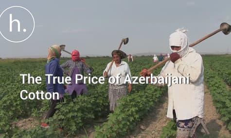 The True Price of Azerbaijani Cotton