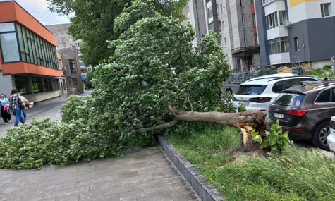 Грози та шквали накрили захід України. У Львові — повалені дерева та зірваний дах