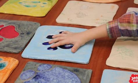 Seeing Through Touch: Behind the Kyiv Zoo Project for the Blind