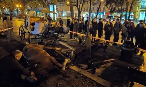 У Львові налякані петардою коні важко травмували 15-річну дитину