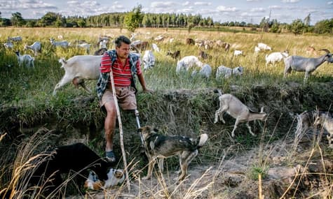 На Луганщині окупанти розстріляли волонтера в інвалідному візку — очільник ОВА