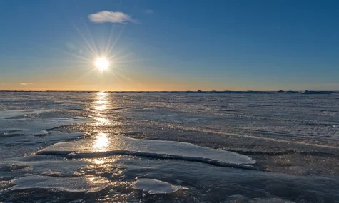 «Мене визнали якимсь душевнохворим». Естонця, який утік у росії через «заборону російської мови», возили на огляд у психлікарню