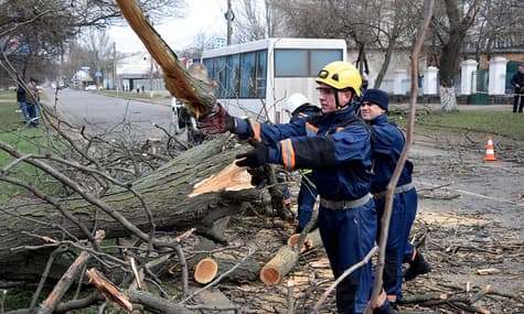 Негода в Україні: у Миколаєві дерево впало на маршрутку, є постраждалі