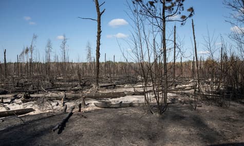 Burnt Villages and Ash: Consequences of the Zhytomyr Fires